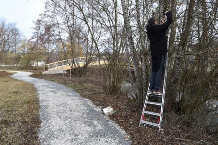 Gnezdilnice Radulja 5